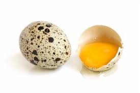 Image result for quail eggs