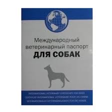 Российские офицеры запасаются справками о пребывании на Донбассе, - СМИ - Цензор.НЕТ 8874