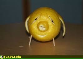 Lemon Pig - lemon_pig