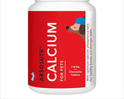 Calcium for pets