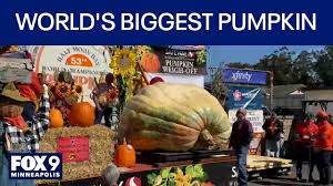 Pumpkin patch opens at Worcestershire farm park - malverngazette.co.uk
