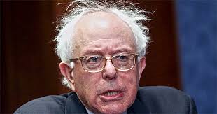 Image result for bernie sanders