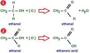 Image result for organic chemistry