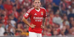 Especialista defende que falta de 