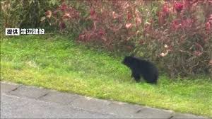 News source: Yahoo!ニュース