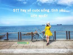 Những câu stt hay ngắn gọn về tình yêu, cuộc sống HOT nhất