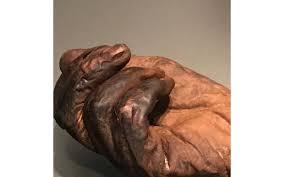 Irish bog bodies share their history