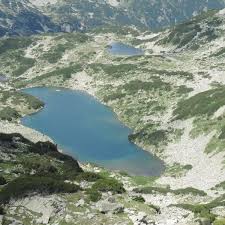 Incroyable ! Déclaré Mort, Retrouvé Vivant Après 17 Ans en Bulgarie !