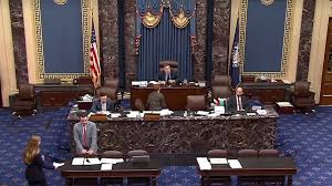 Capitol Police Arrest Man Disrupting Senate Debate on Trump's Bill