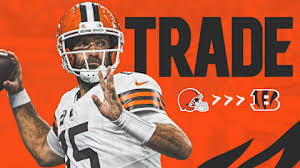 Cincinnati Bengals - News update