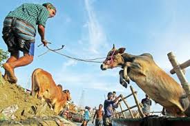 Image result for হাট বাজার নীতিমালা