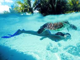 Znalezione obrazy dla zapytania kobieta nurkujaca