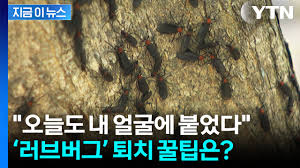 YTN - News update