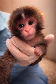 You - Punch Just Born 26/07/2025 A tiny soul entered the ...