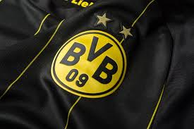 Image result for bundesliga logo 2015