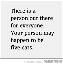 funny-cat-lady-quote.jpg via Relatably.com