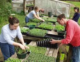 Image result for organic farming