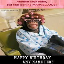 Image result for funny birthday