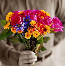images
