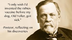 Louis Pasteur Famous Quotes. QuotesGram via Relatably.com