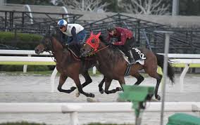 スポニチ Sponichi Annex - News update