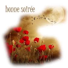 Résultat de recherche d'images pour "bonne soirée"