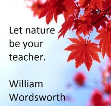 Image result for learning with nature