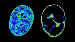 ScienceDaily - News update