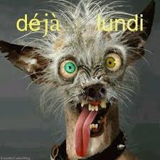 Résultat de recherche d'images pour "gifs c'est lundi animés"