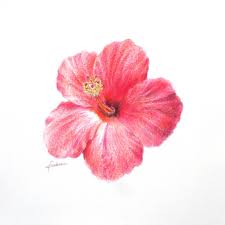 Rsultat de recherche d'images pour "offrir des fleurs dessin"