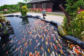 Image result for Discovering Gunung Lambak – Within Kluang Gem