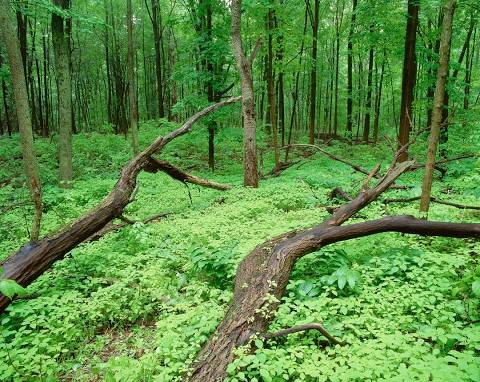 HVAC COMPANY Oakville, on