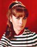 Stefanie Powers Photo. Stefanie Powers. Photo - 8 x 10 in. Photo 1 8 x 10 in. $8.99. (7 other sizes available). Usually ships in 1-2 days - stefanie-powers