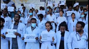 Ethiopia Insight - News update