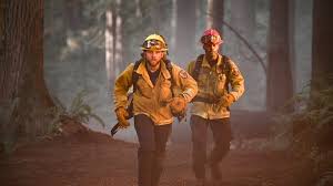 Billy Burke leaves Fire Country raising questions for fans