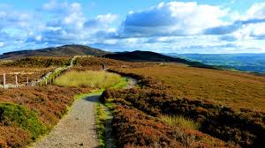 Resultat d'imatges de offa's dyke path