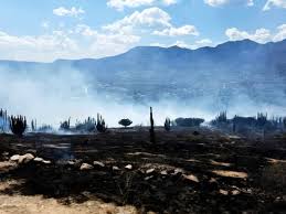 Por incendio aledaño, evacuan a alumnos del COBAQ en Tolimán