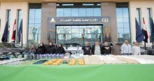 تعاني من اكتئاب.. دفاع سارة خليفة يطالب بعرضها على الطب النفسى