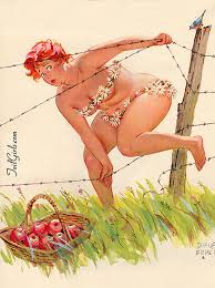 Resultado de imagem para chubby pin up