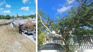 reynosa-gob - News update