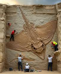 Colossal winged creature fossil discovered in desert cliff