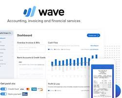 Wave Accounting software tool