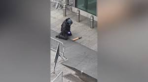 ABC7 New York - News update