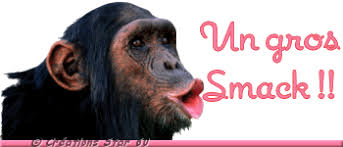 Résultat de recherche d'images pour "gifs sourire humour"