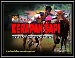 Hasil gambar untuk KERAPAN SAPI