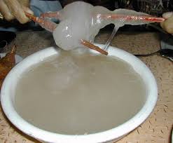 Hasil gambar untuk papeda singkong