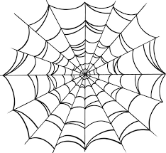 Image result for spider web