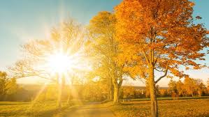 Wetter 16 Tage: Geht's mit 30 Grad in den Oktober? — wetter.com