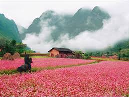 Kết quả hình ảnh cho TOUR HÀ GIANG - ĐỒNG VĂN - MÈO VẠC - THÁC BẢN GIỐC - HỒ BA BỂ