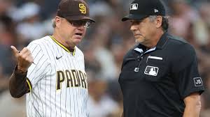 mike shildt Picture